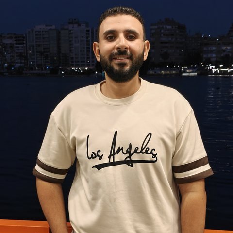 علاء الدين محمد محروس
